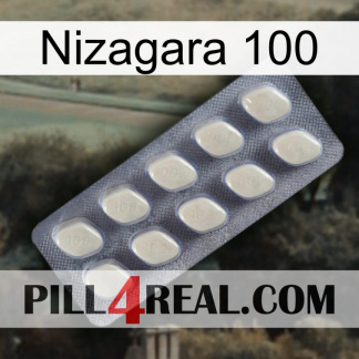 Nizagara 100 08